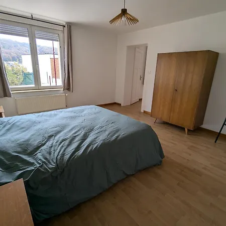 Spacieux 2 100m2 Centre Petite アパート Longeville-les-Saint-Avold