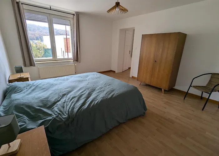 Spacieux 2 100m2 Centre Petite Апартаменты Longeville-les-Saint-Avold